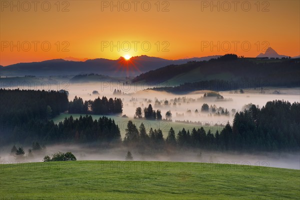 View over the Rothenthurm high moor at sunrise in the canton of Schwyz, Switzerland, Europe