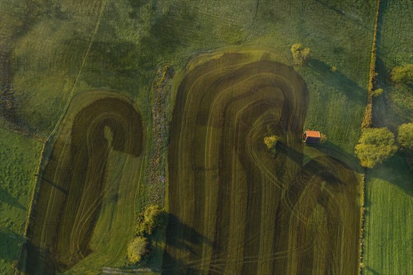 Aerial view of a meadow fertilised with liquid manure in the morning light, Alpine foothills, Upper