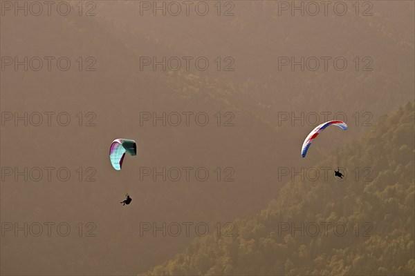 Two paragliders flying over the forest, Alsace, France, Europe