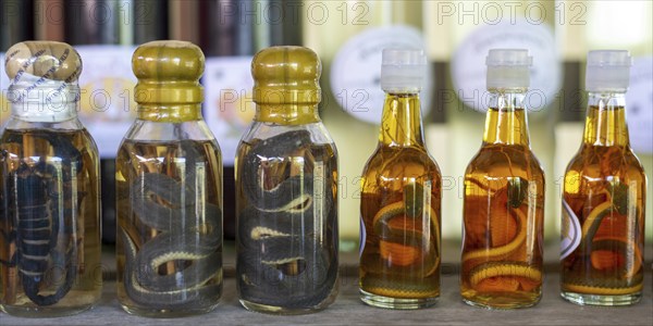 Choum, rice liquor, rice wine with pickled scorpions and Snakes for sale, Laos, Asia