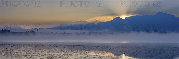 Sunrise at Lake Hopfensee near Füssen, behind Hopfen am See, the Tegelberg massif and the Säuling,