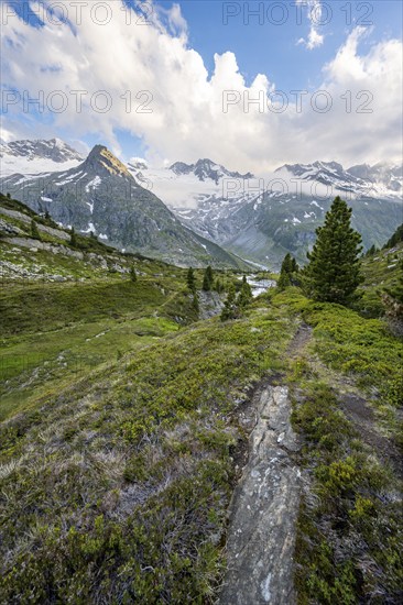 Mountain landscape with mountain peak Steinmandl and Großer Möseler with glacier Waxeggkees,