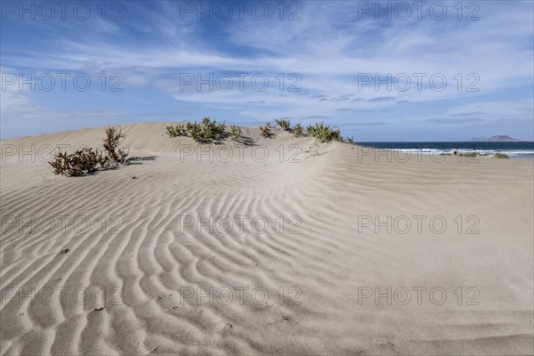 Dune landscape, Playa de Famara, Lanzarote, Canary Islands, Spain, Europe