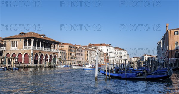 Mercato di Rialto on the Grand Canal, gondolas at the jetty, Venice, Veneto, Italy, Europe