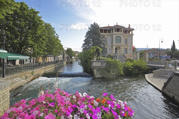 River La Sorgue and Villa Caisse d'Epargne, bank, tributary, canal, idyll, floral decoration,