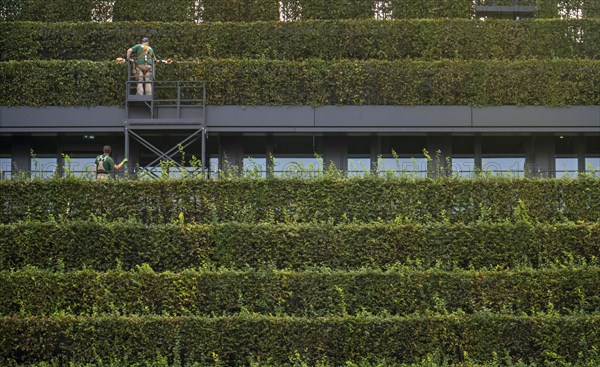 Green façade, made of over 30, 000 hornbeams forming a hedge a good 8 kilometres long, on the roof