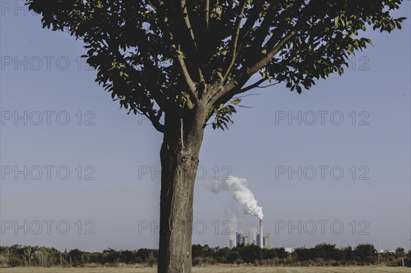 Schkopau coal-fired power station, photographed from Merseburg, 28/08/2024