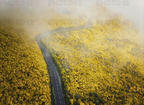 Aerial view of road among yellow Cytisus blooming shrubs near Pico do Arieiro, Portugal in clouds