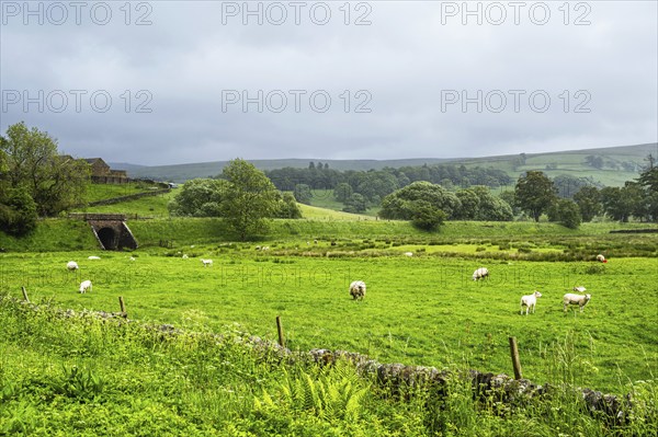 Farms over North Pennines, Cumbria, Durham, Northumberland, North Yorkshire, England, United