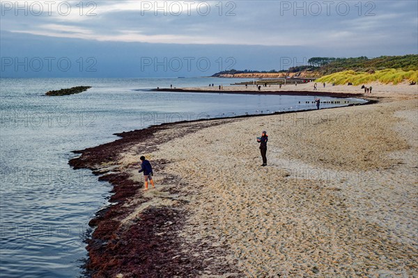Baltic Sea beach, walkers on the Baltic Sea coast on Wustrow beach in the evening light, evening