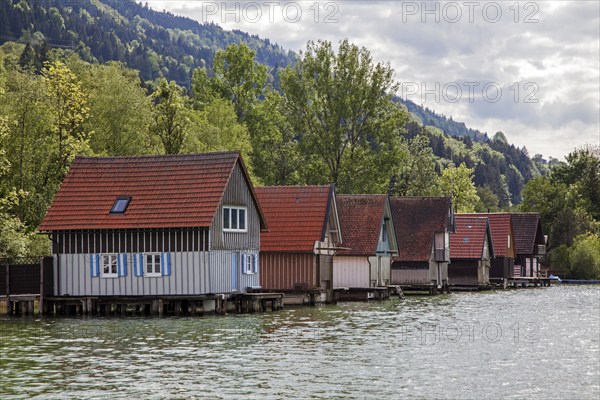 Boathouses in Bühl, Großer Alpsee, near Immenstadt, Oberallgäu, Allgäu, Bavaria, Germany, Europe