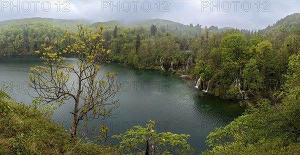 Plitvice Lakes National Park, Plitvicka Jezera, Lika-Senj, Croatia, Europe