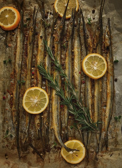 Fried fish, sargan, black sea pike, top view, close-up, no people