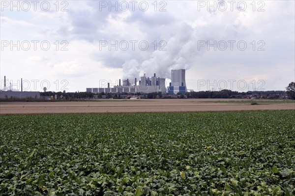 Niederaußem power plant, a base-load power plant operated by RWE PowerAG using lignite in