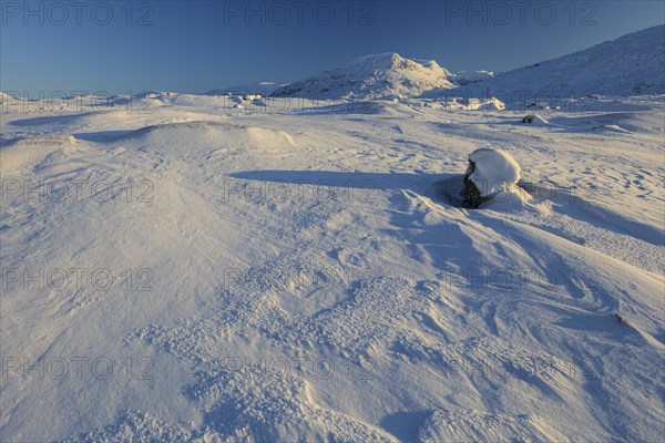 Snowy mountain landscape, evening light, sunny, snow drifts, wind, Björnfjell, Norway, Europe