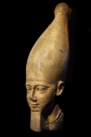 Head of a colossal statue of Ramses II, from the exhibition: Ramses the Great and the Gold of the