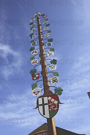 Guild tree of the winegrowers on the market square of Hammelburg, Lower Franconia, Bavaria,