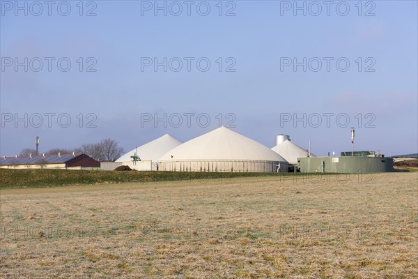 Symbolic image, energy transition, biogas plant near Backnang, arable farming, field,