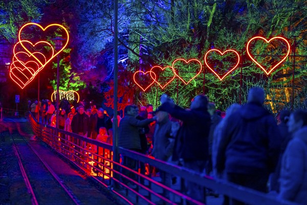 Parkleuchten, event in winter, in the Grugapark in Essen, many different light installations,