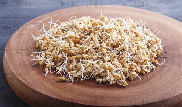 Heap of germinated wheat on brown wooden board, close up, side view