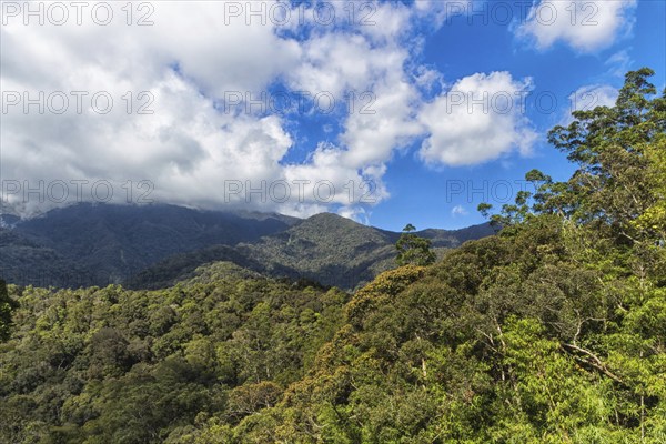 Mountains with jungle and cloudy sky. Malaysia