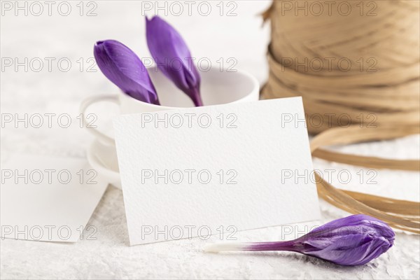 White paper invitation card, mockup with purple crocus snowdrop flowers on gray concrete background
