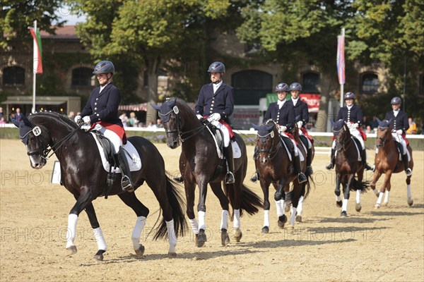 Warendorf State Stud, Stallion Parade, Dressage Sextet