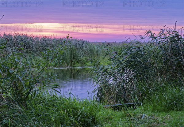 Fishing boat on a branch of the Narew in the Narew National Park in north-east Poland. Waniewo,