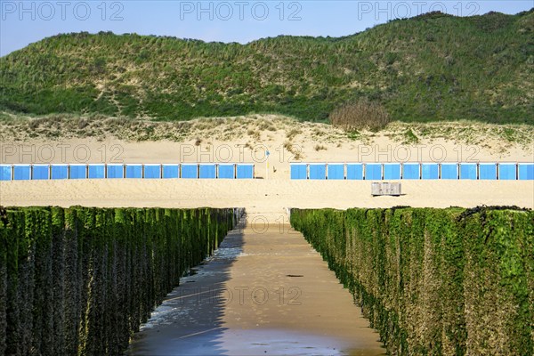 Beach cabins on the North Sea beach near Zoutelande, Zeeland, breakwater at low tide, dunes,