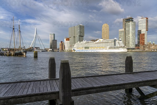 Rotterdam, skyline at the Nieuwe Maas, Erasmus Bridge, skyscrapers at the Kop van Zuid district,