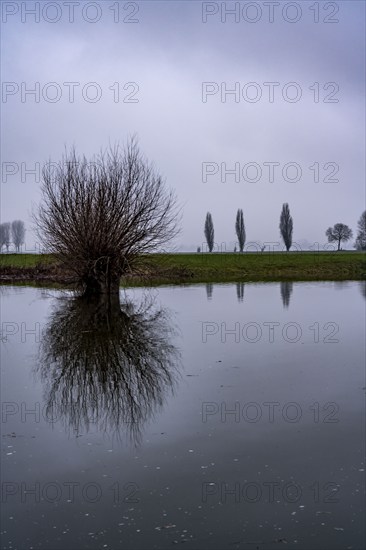 High water on the Rhine at Düsseldorf-Kaiserswerth, foggy weather, riverside paths and Rhine