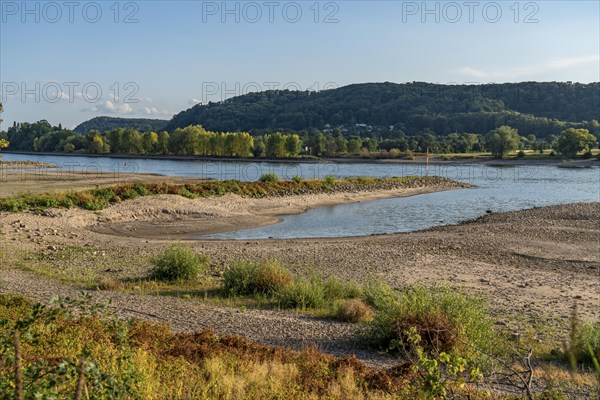The Rhine at extremely low water, near Bad Honnef Rhöndorf, below the Drachenfels, Nonnenwerth