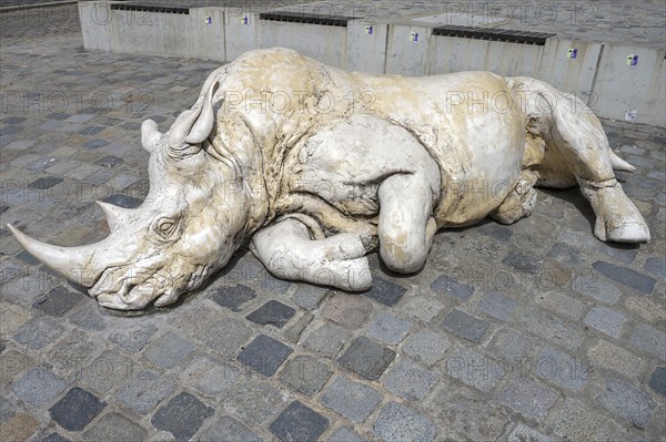 Sculpture of a sleeping Rhino, 2016 created by the artist Dorota Hadrian from Krakow, Egidienplatz,
