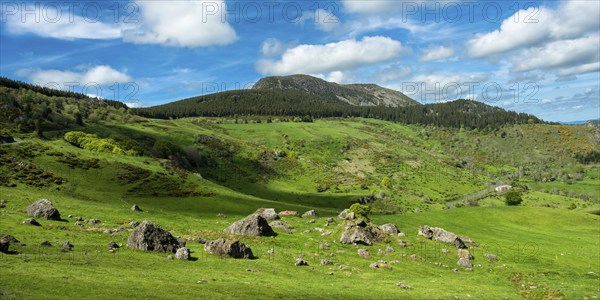 Lush Green Landscape of Mont Mezenc in in the Monts d'Ardeche Regional Natural Park,