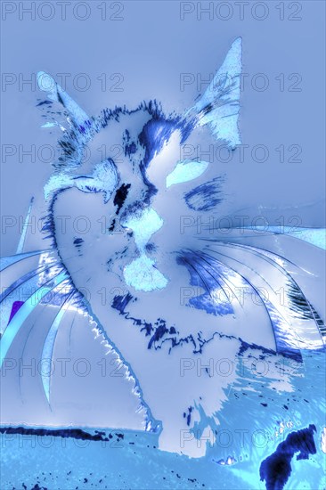 Michas Cats, art, mixed media, artist Michael Preyer, abstract cat portrait, portrait, cat head,