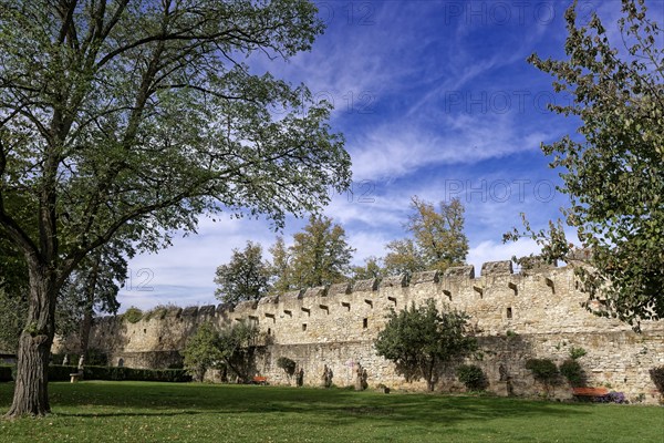 Castle wall of Creuzburg Castle. Creuzburg district, Thuringia, Germany, Europe