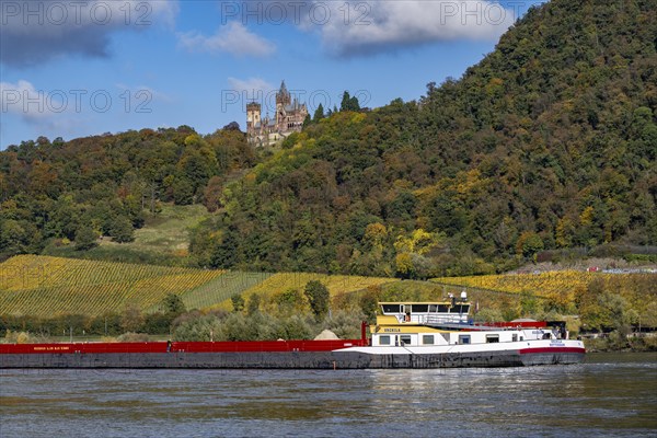 Drachenfels, a mountain in the Siebengebirge on the Rhine between Bad Honnef and Königswinter, with