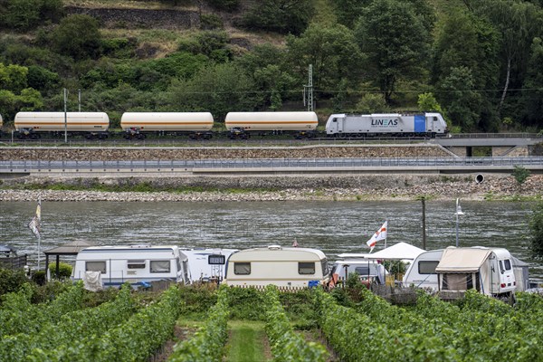 Upper Middle Rhine Valley, north of Bingen, Marienort campsite, goods train on the right bank of