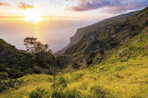 Evening mood, green coastal landscape on a steep cliff at sunset, sea and coast, viewpoint