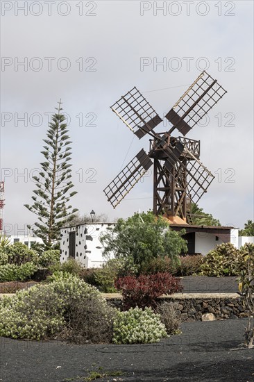 Windmill, Teguise, Lanzarote, Canary Islands, Spain, Europe