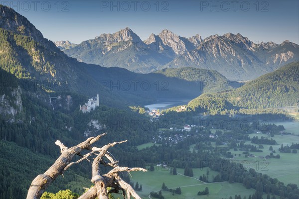 Neuschwanstein Castle, Hohenschwangau near Füssen, Ostallgäu, Allgäu, Bavaria, Germany, Europe