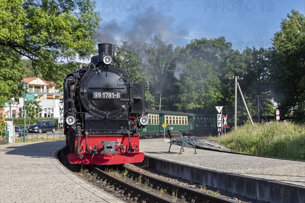 A steam locomotive with smoke travelling on rails through a wooded area, Rügen, Rasender Roland