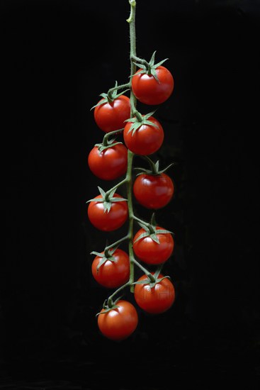 Cherry tomatoes on a stick, cherry tomato