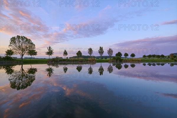 Lake in spring with row of trees and reflection at sunset, Drei Gleichen, Ilm-Kreis, Thuringia,