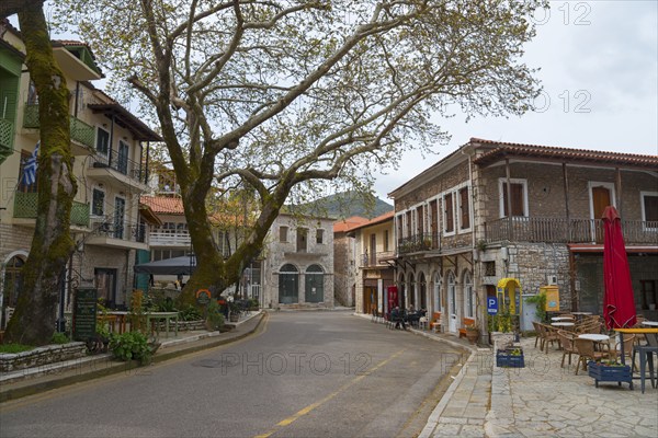 View of a quiet street with trees and traditional buildings under a cloudy sky, Andritsaina,