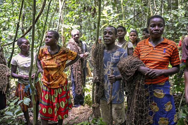 Pygmies of the Baka or BaAka people with their hunting nets in the forest, Dzanga-Sangha Special