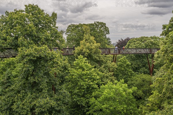 Visitors on the Treetop Walkway, steel structure, Royal Botanic Gardens (Kew Gardens), UNESCO World