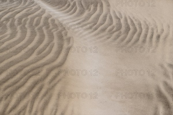 Dune landscape, Playa de Famara, Lanzarote, Canary Islands, Spain, Europe
