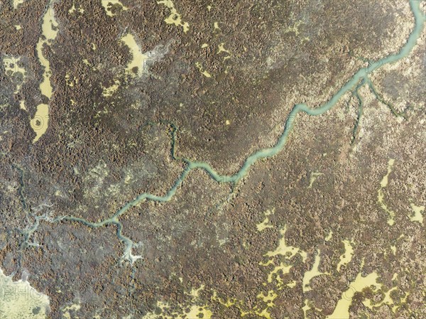 Marshland at low tide. Nature Reserve La Breña y Marismas del Barbate. Aerial view. Drone shot.