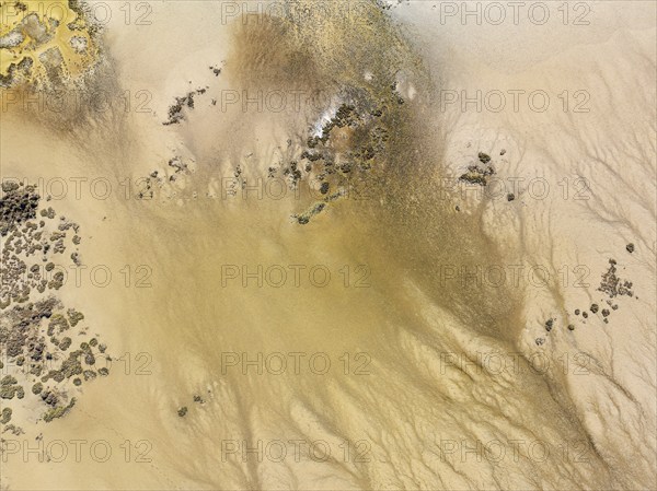 Marshland at low tide. Nature Reserve La Breña y Marismas del Barbate. Aerial view. Drone shot.